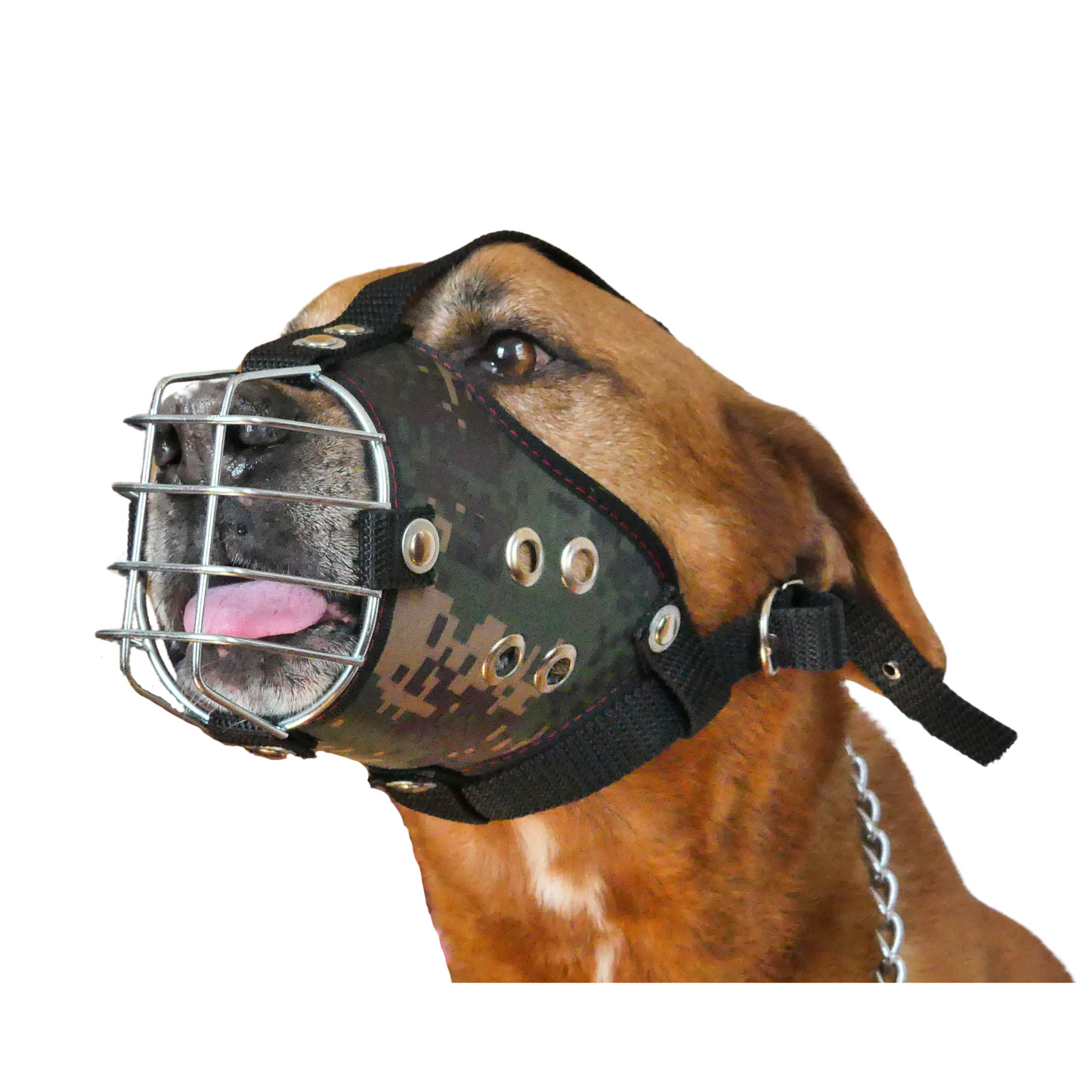Shark Heavy-Duty Metal Basket Dog Muzzle for Large Dogs with Smooth Edges.