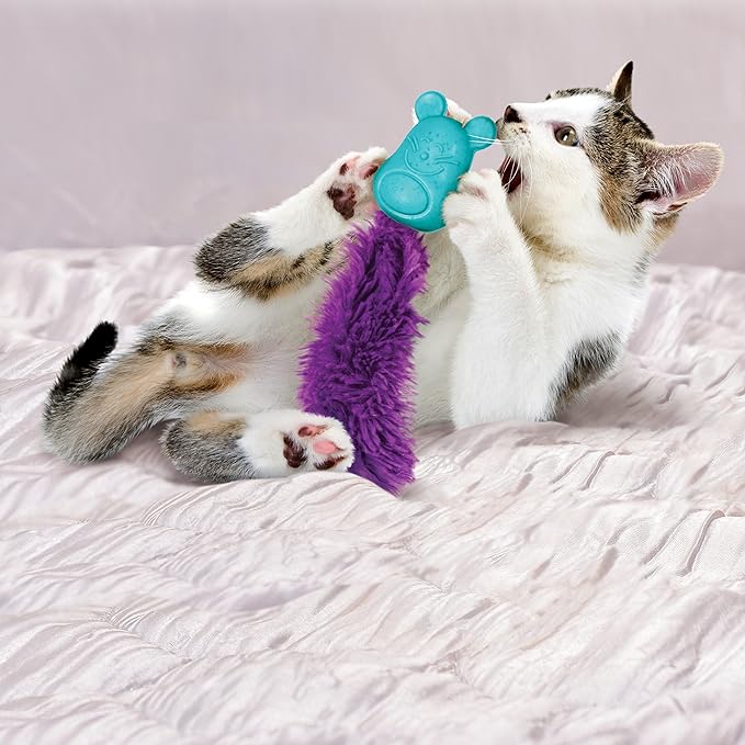 KONG Cat Infused Bobble Mouse Cat Toy, Assorted Colours