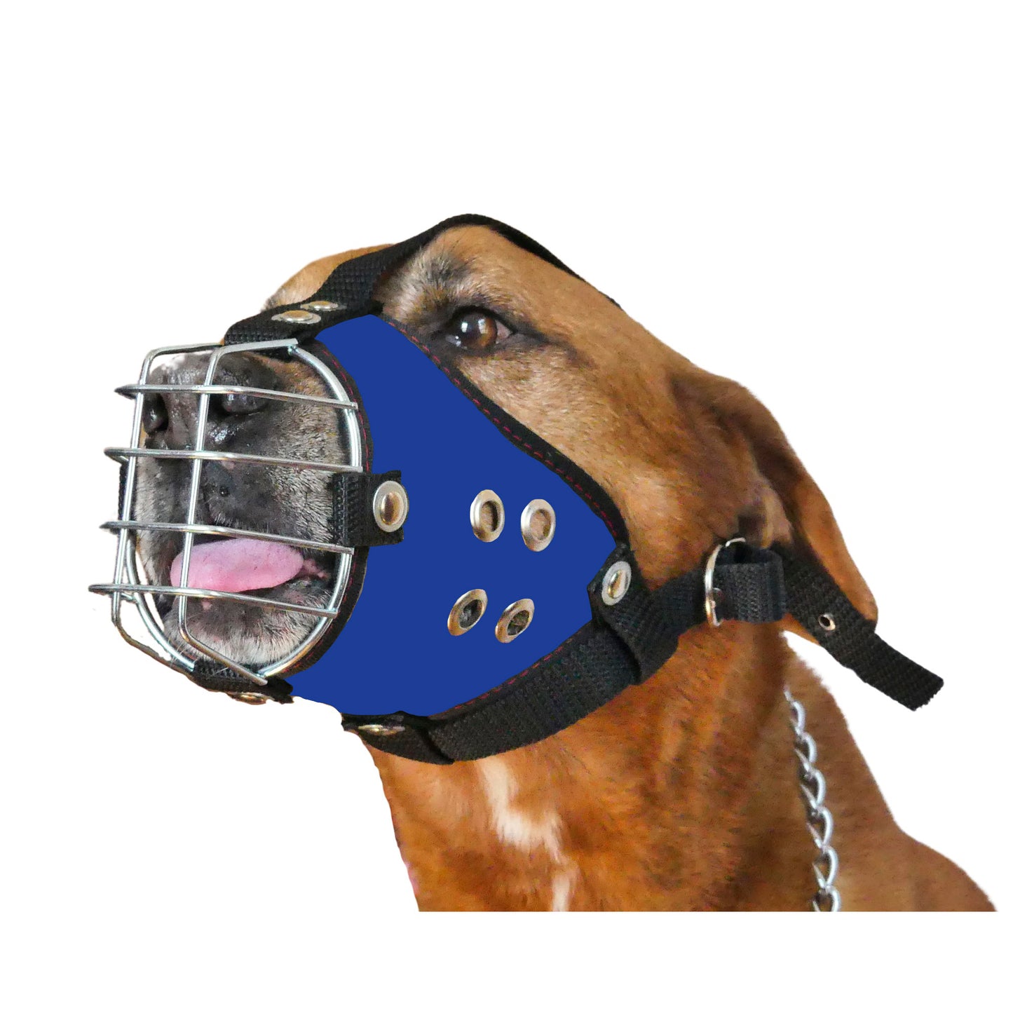 Shark Heavy-Duty Metal Basket Dog Muzzle for Large Dogs with Smooth Edges.
