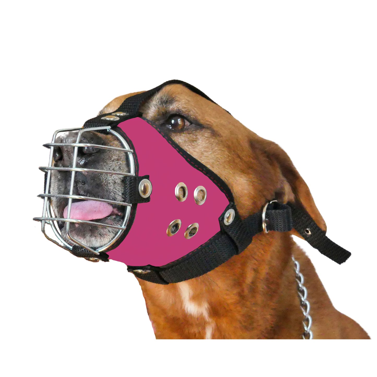 Shark Heavy-Duty Metal Basket Dog Muzzle for Large Dogs with Smooth Edges.