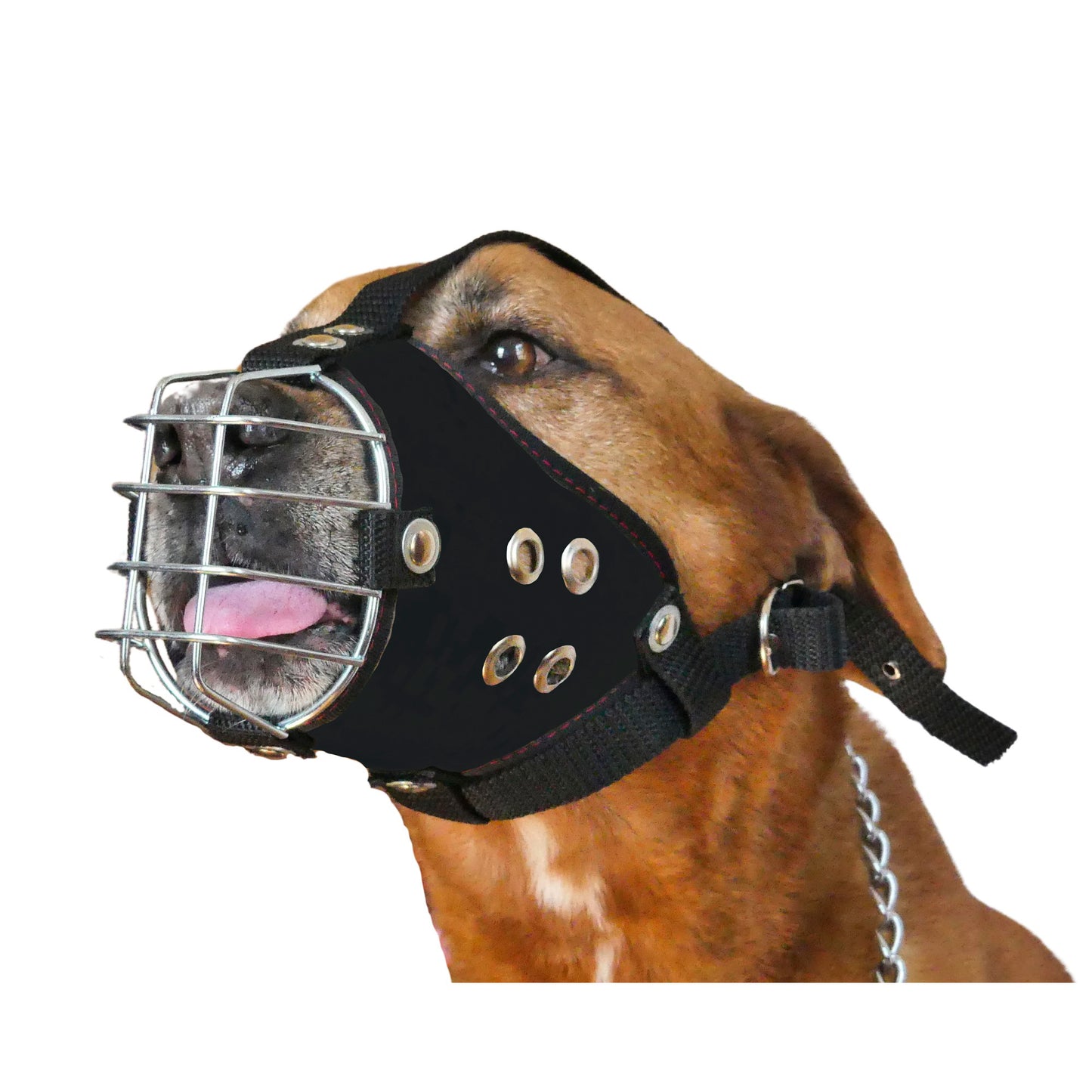 Shark Heavy-Duty Metal Basket Dog Muzzle for Large Dogs with Smooth Edges.