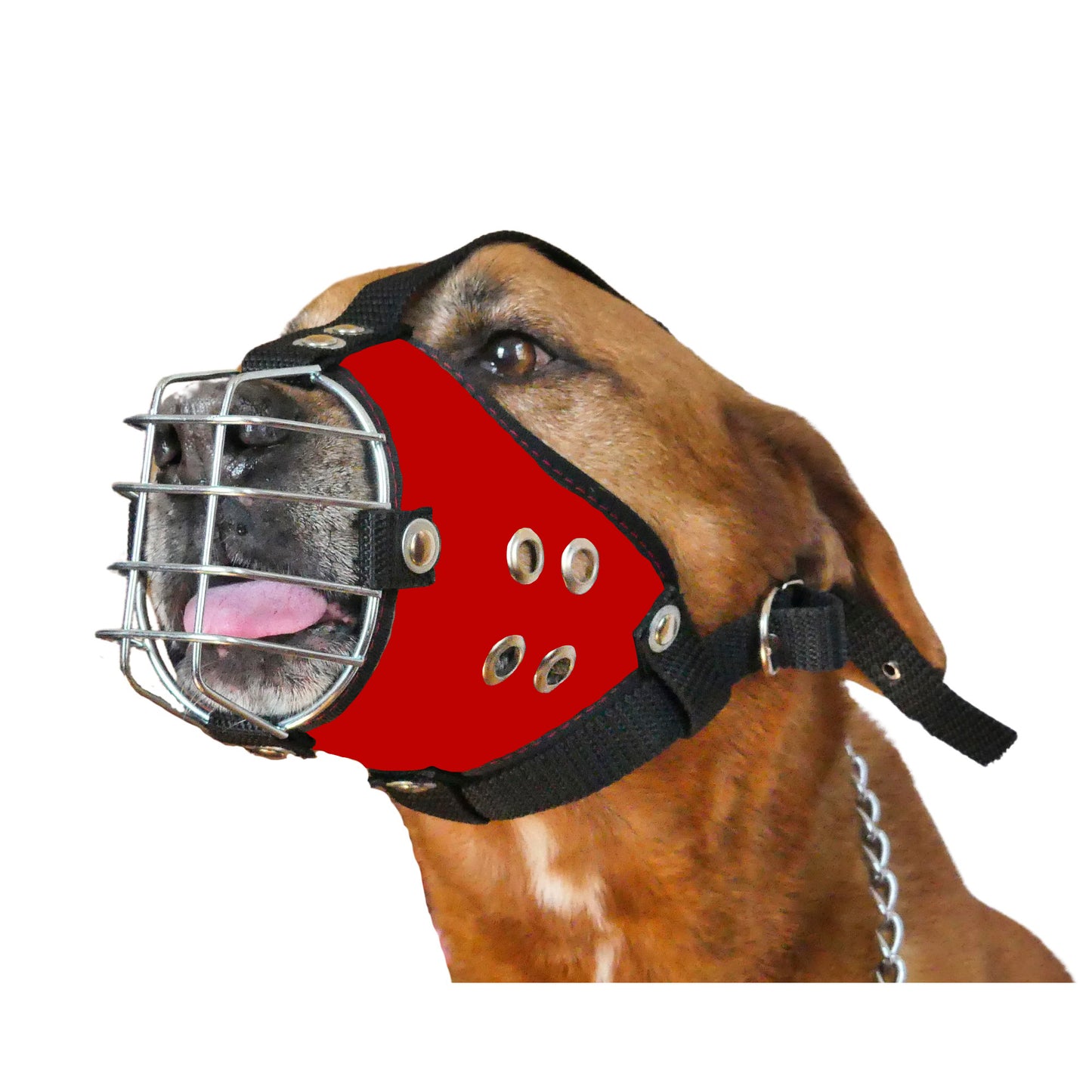 Shark Heavy-Duty Metal Basket Dog Muzzle for Large Dogs with Smooth Edges.